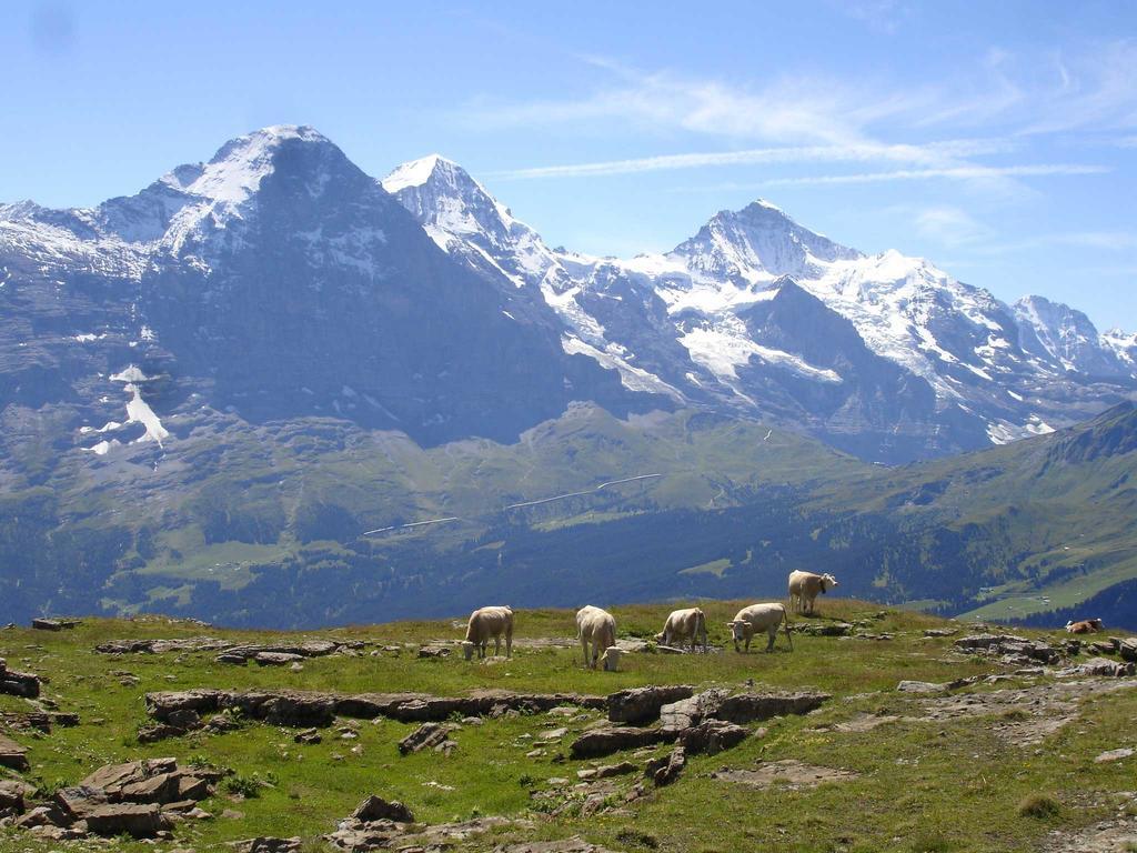 Beim See Grindelwald Luaran gambar