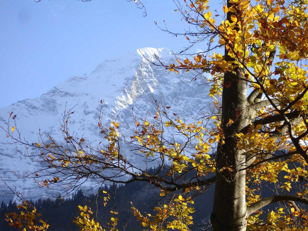 Beim See Grindelwald Luaran gambar