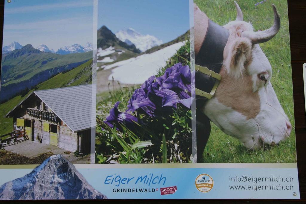Beim See Grindelwald Luaran gambar
